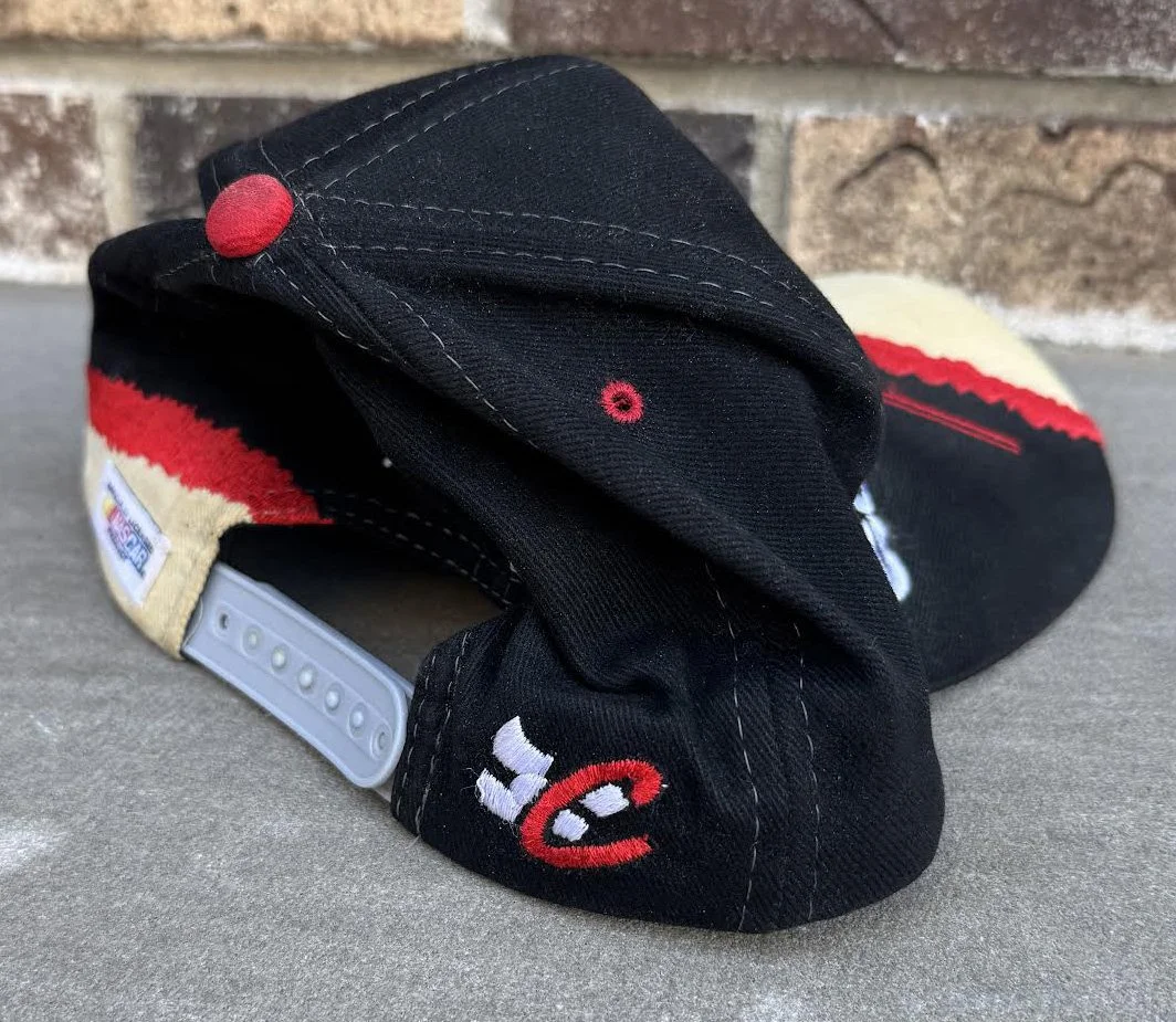 back of Dale Earnhardt cap.jpg