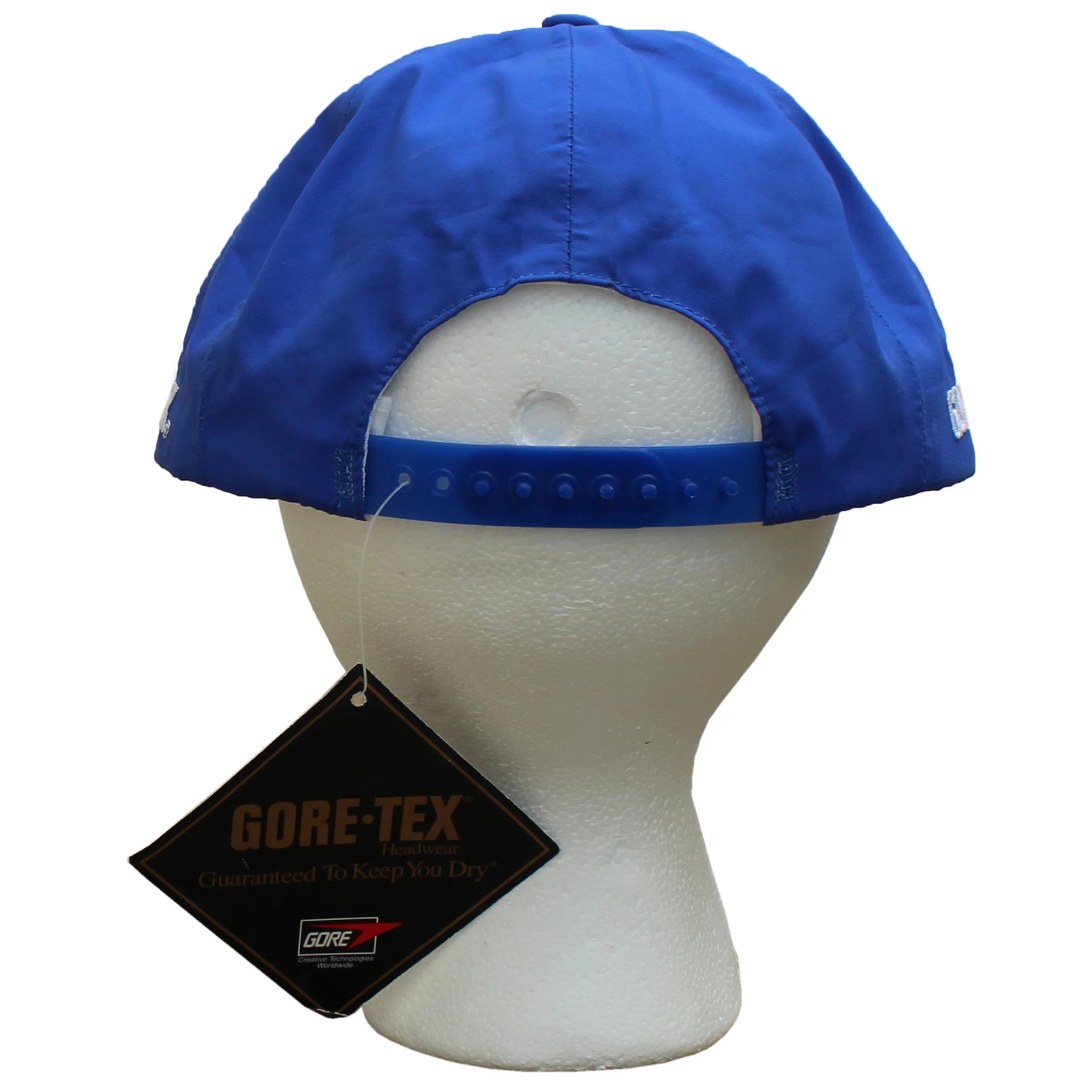 back of the Gore-tex double logo snapback .jpg