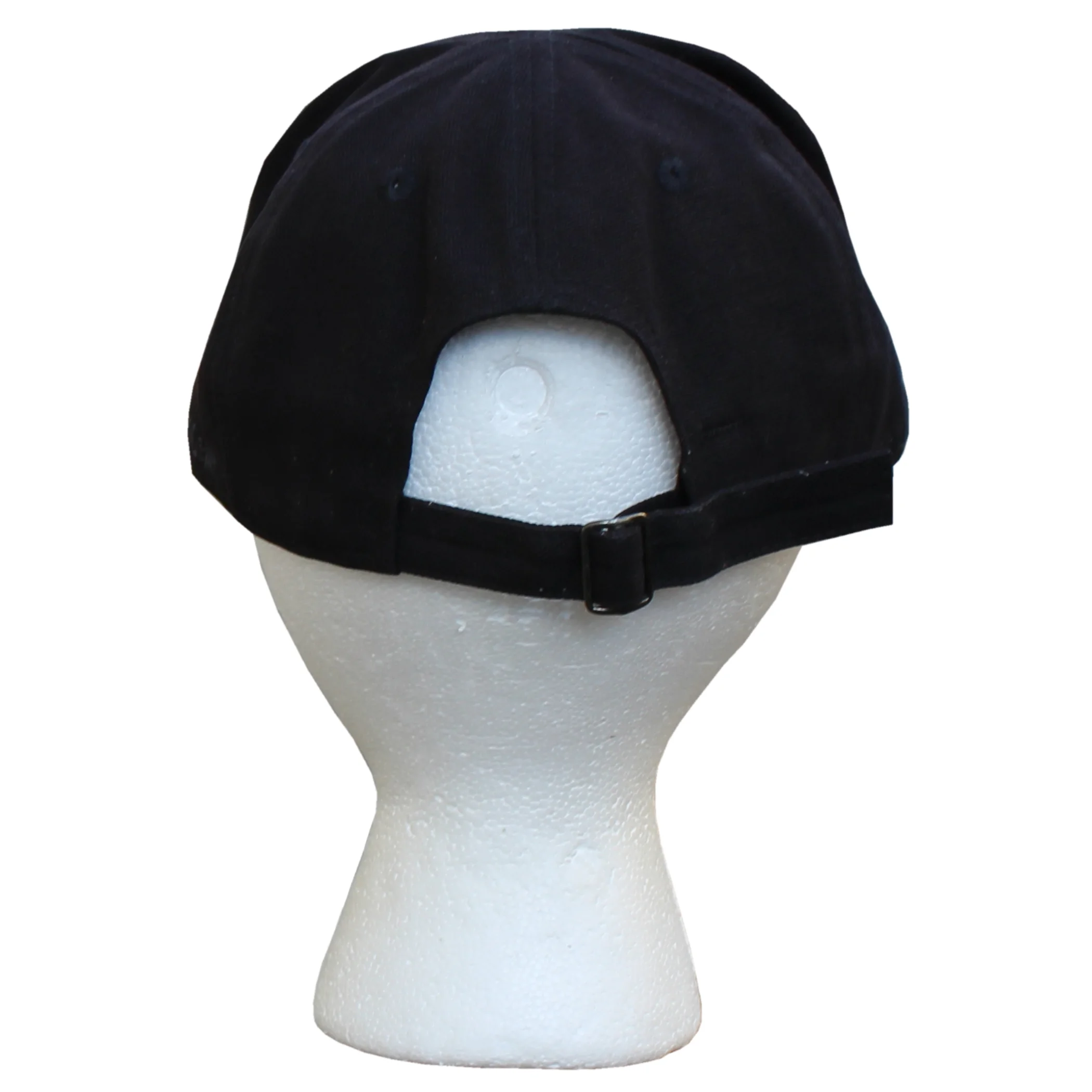 back of Nike ACG All Conditions Gear strapback .jpg