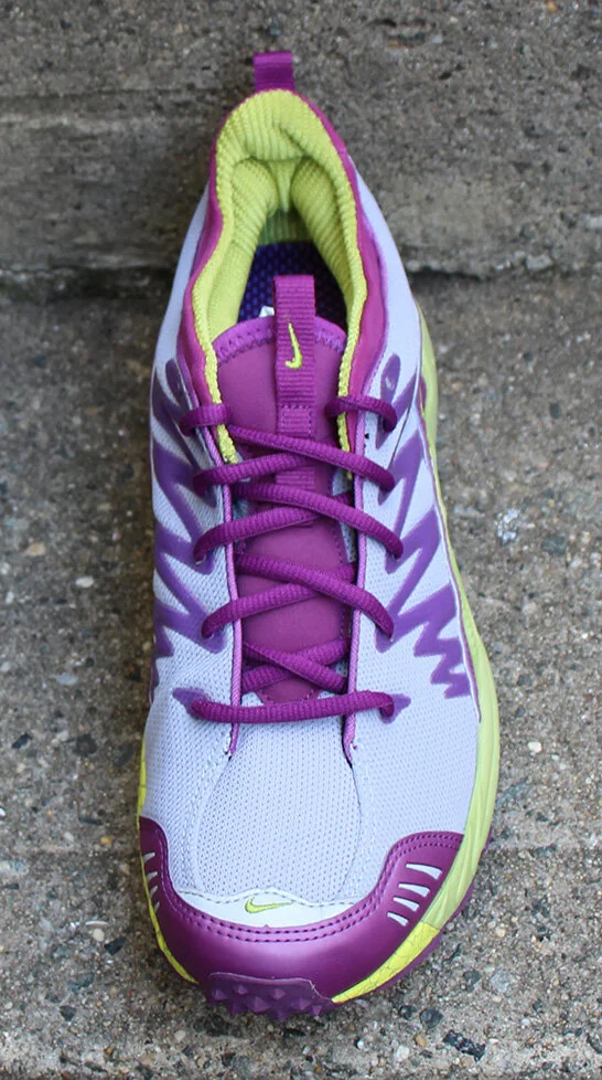 front of Nike Air Terra Goatek B Viotech .jpg