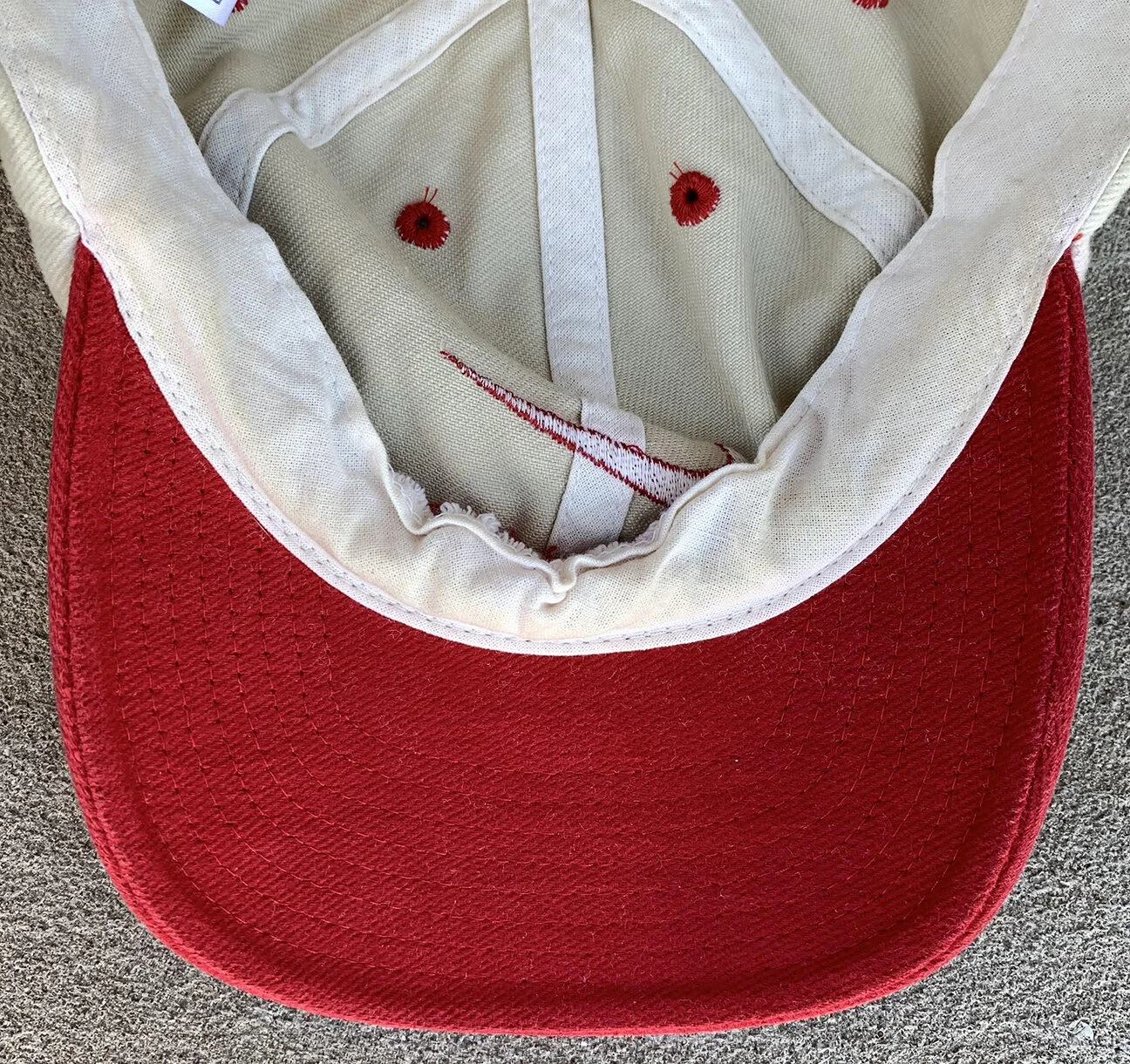 inside of hat.jpg