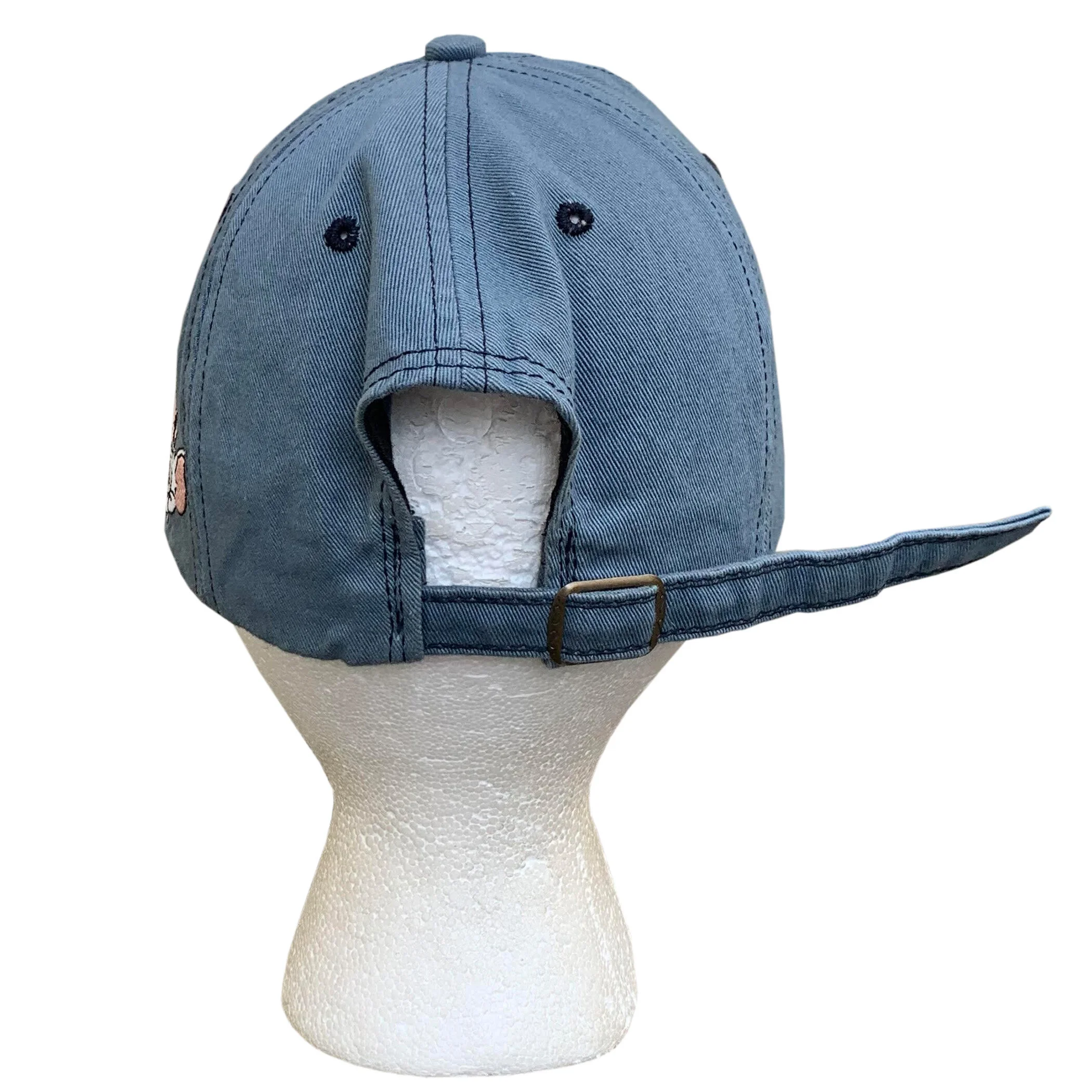 Vintage Warner Bros Pinky & The Brain Domination Wear hat.