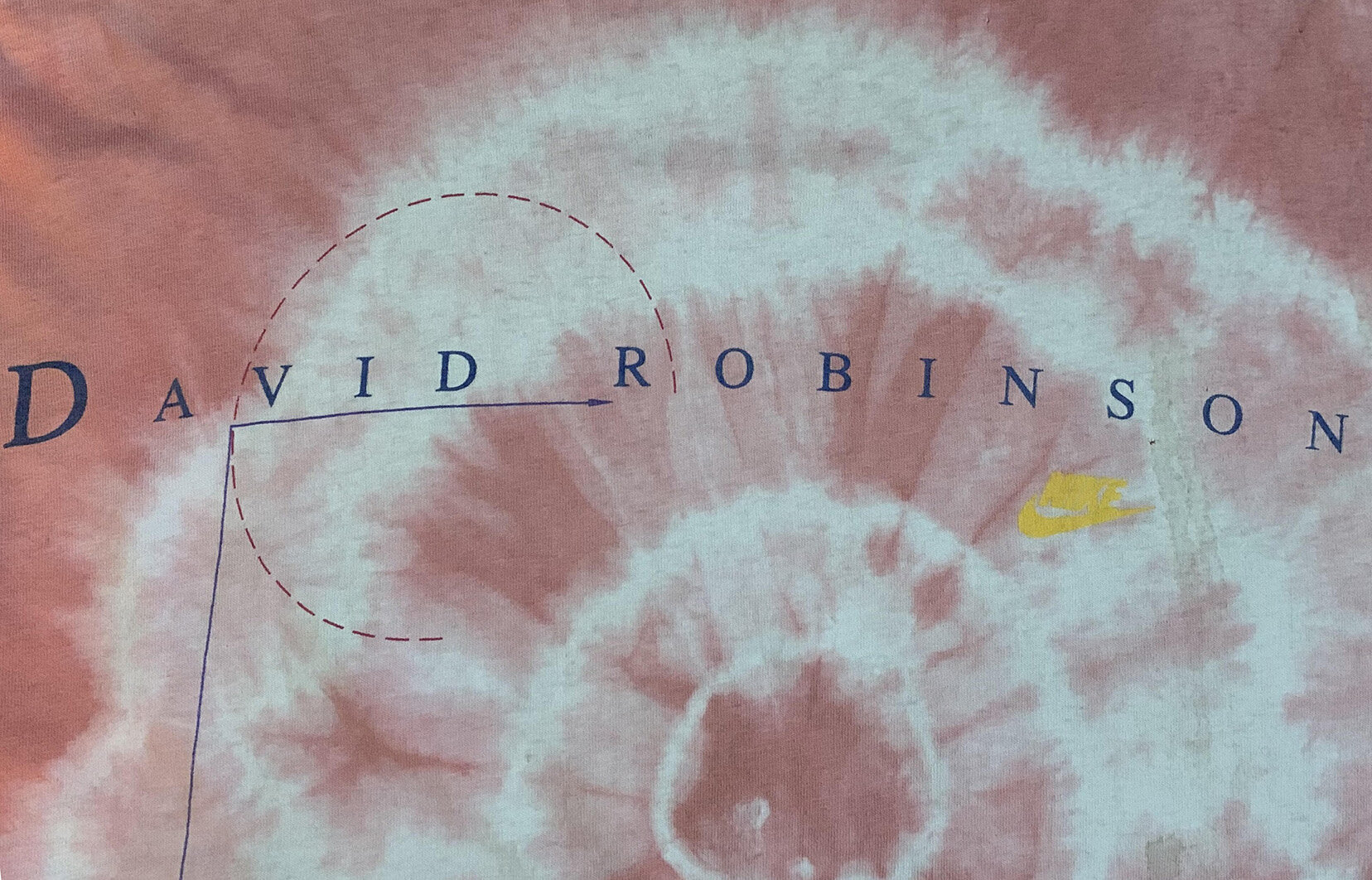 david robisnon logo .jpg