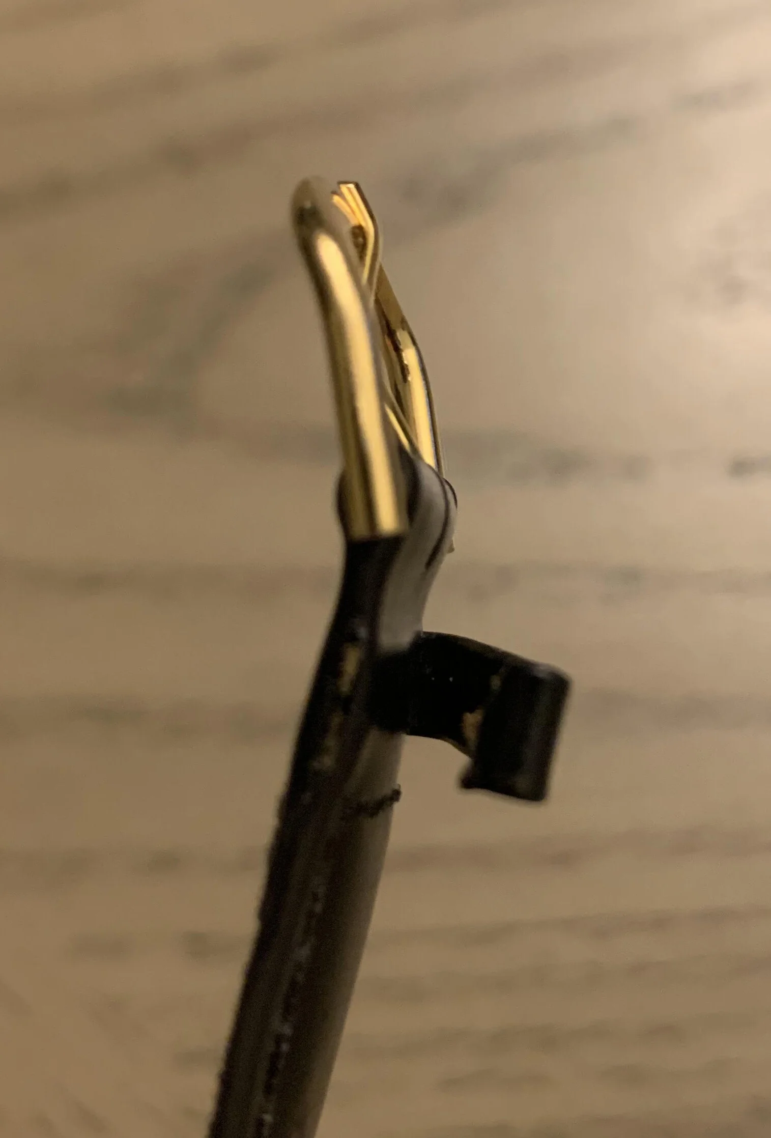 strap .jpg