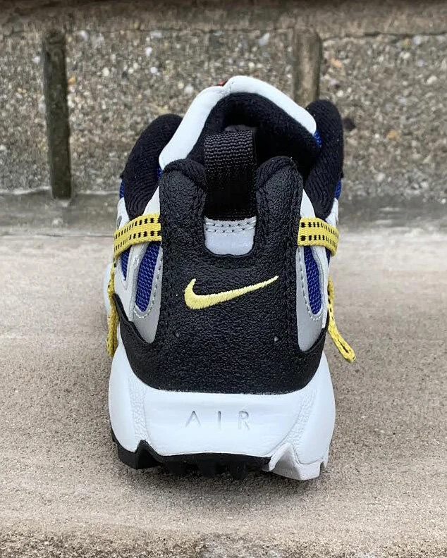 Kids Nike Terra Albis 2 Neutral Grey and Royal blue