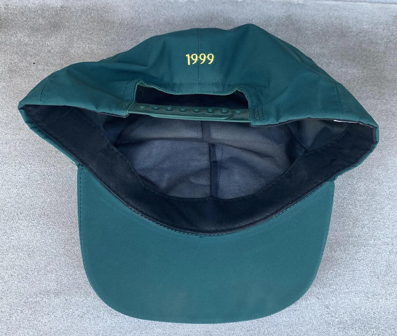 inside of gore hat .jpg