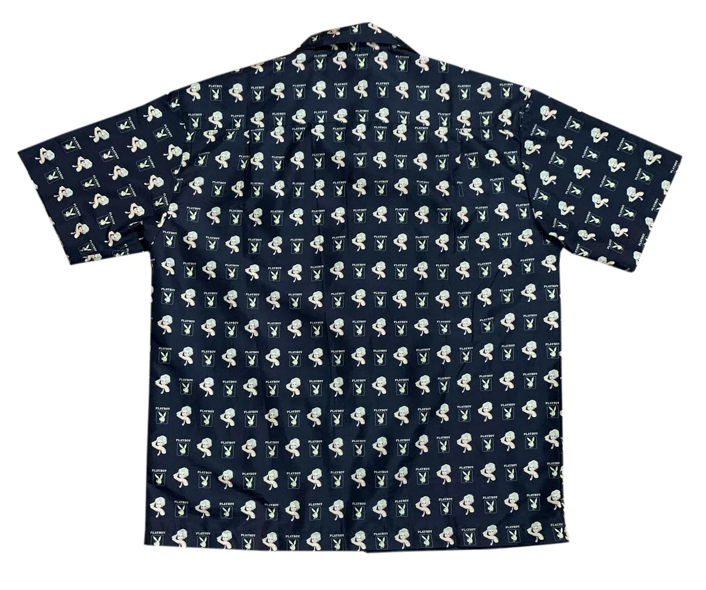 back of playboy button down .jpg