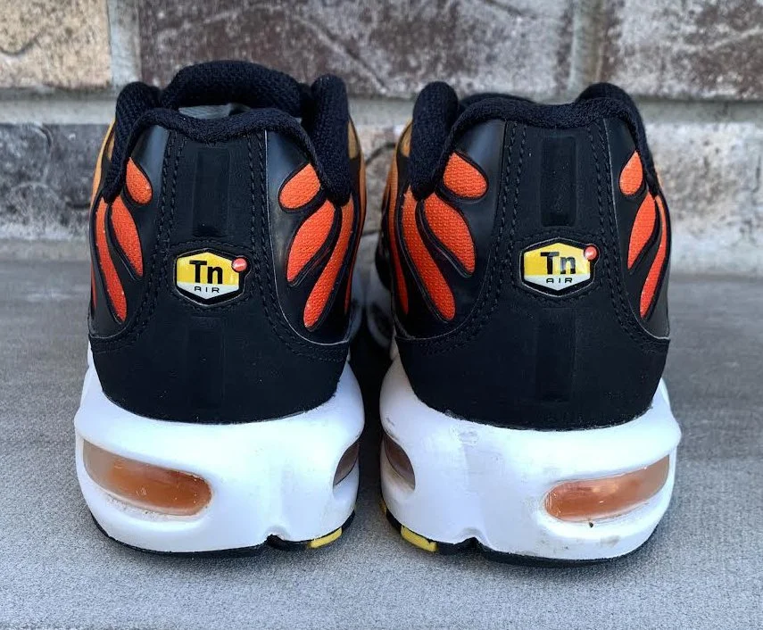 back of Air Max TN .jpg