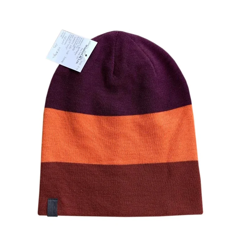 back of arc beanie .jpg