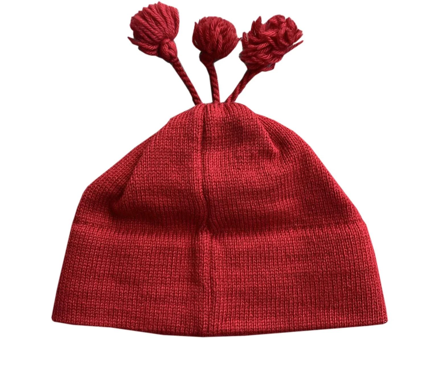 back of RL 2000 beanie .jpg
