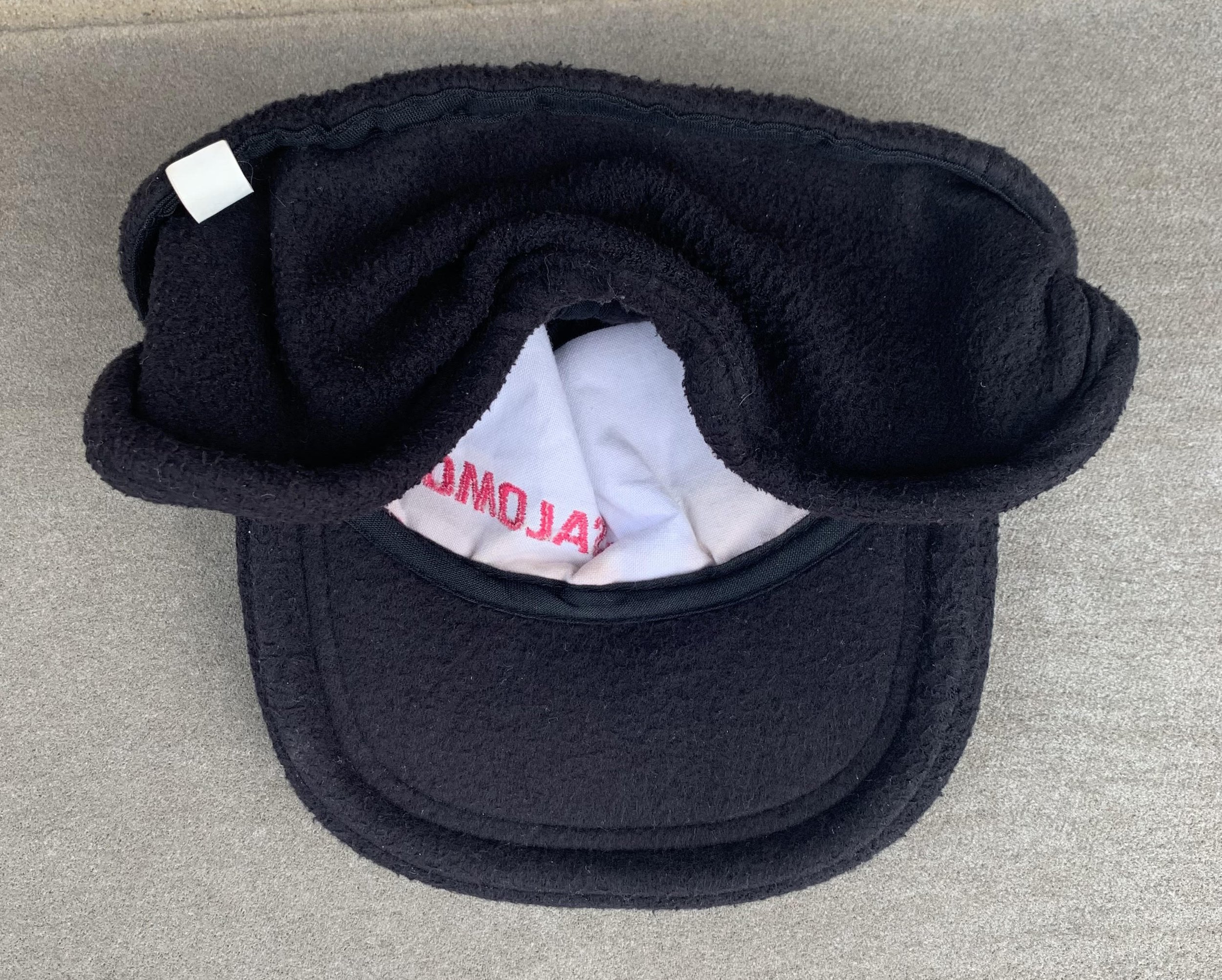 inside of Salomon hat .jpg