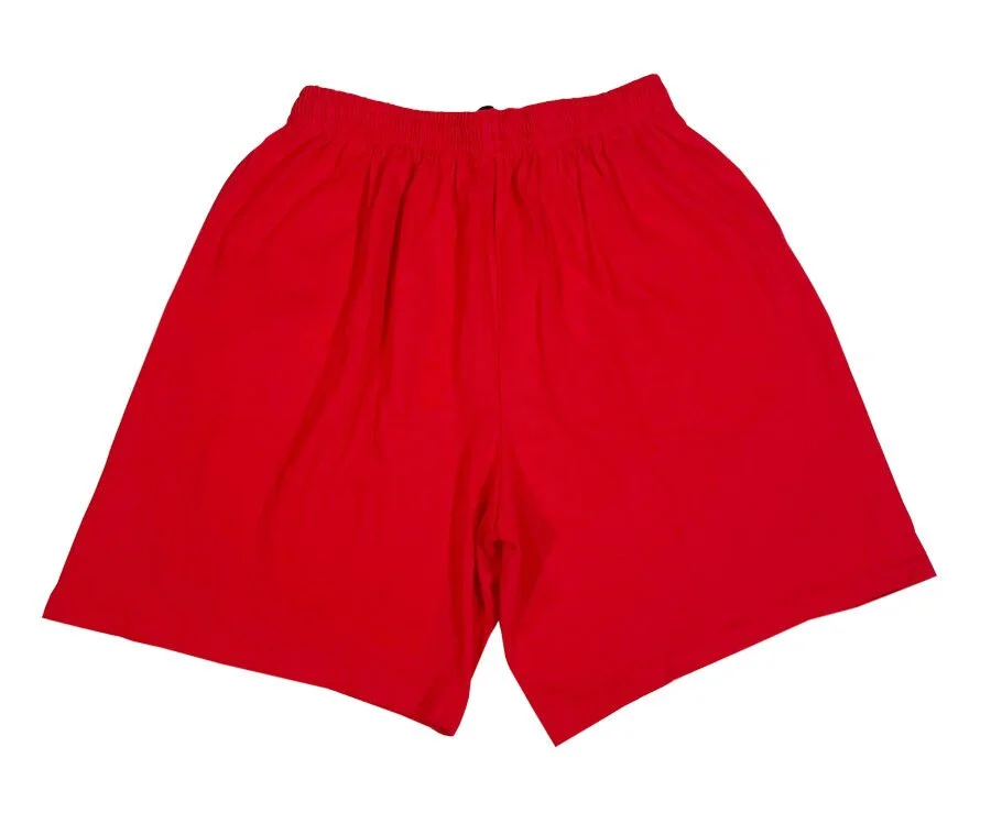 2 back+of+nike+jordan+8+shorts+.jpg