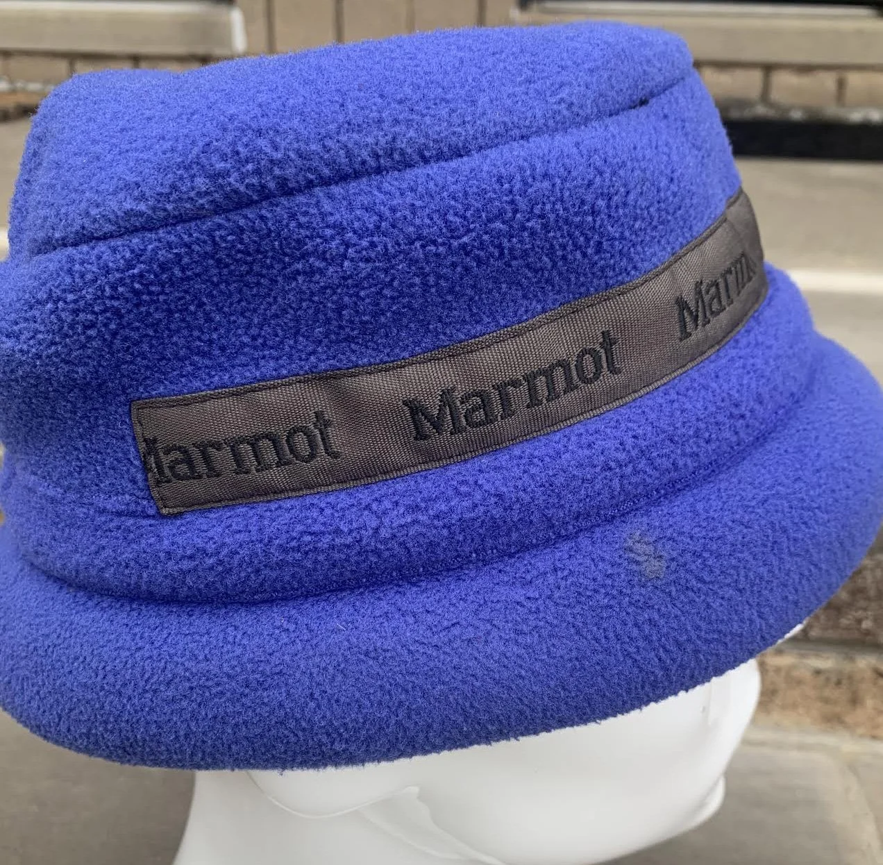 Marmot side .jpg