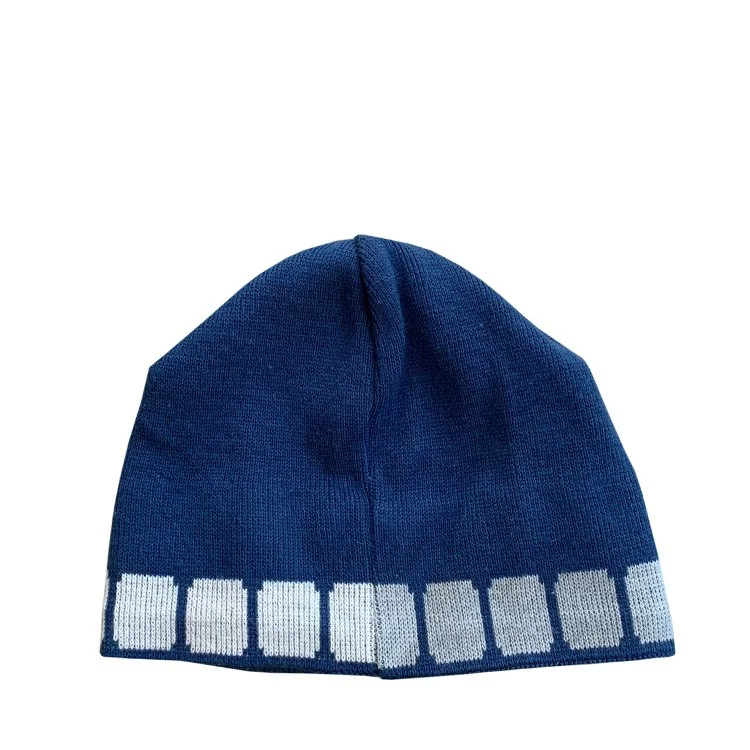 back of Beanie .jpg