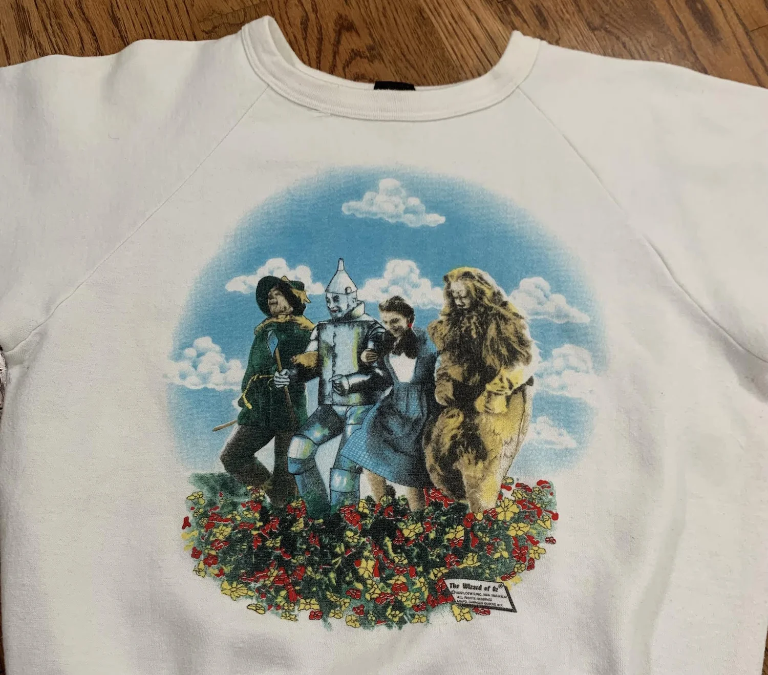 Vintage Changes Wizard Of Oz Crewneck Sweatshirt (Size L,Fits 