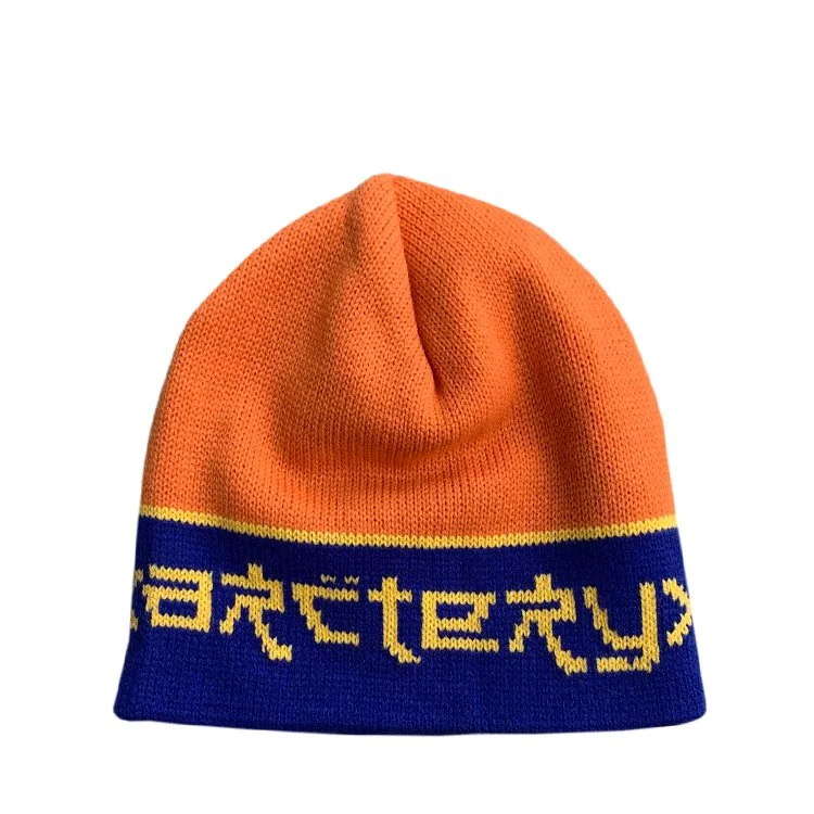 back of arc beanie .jpg