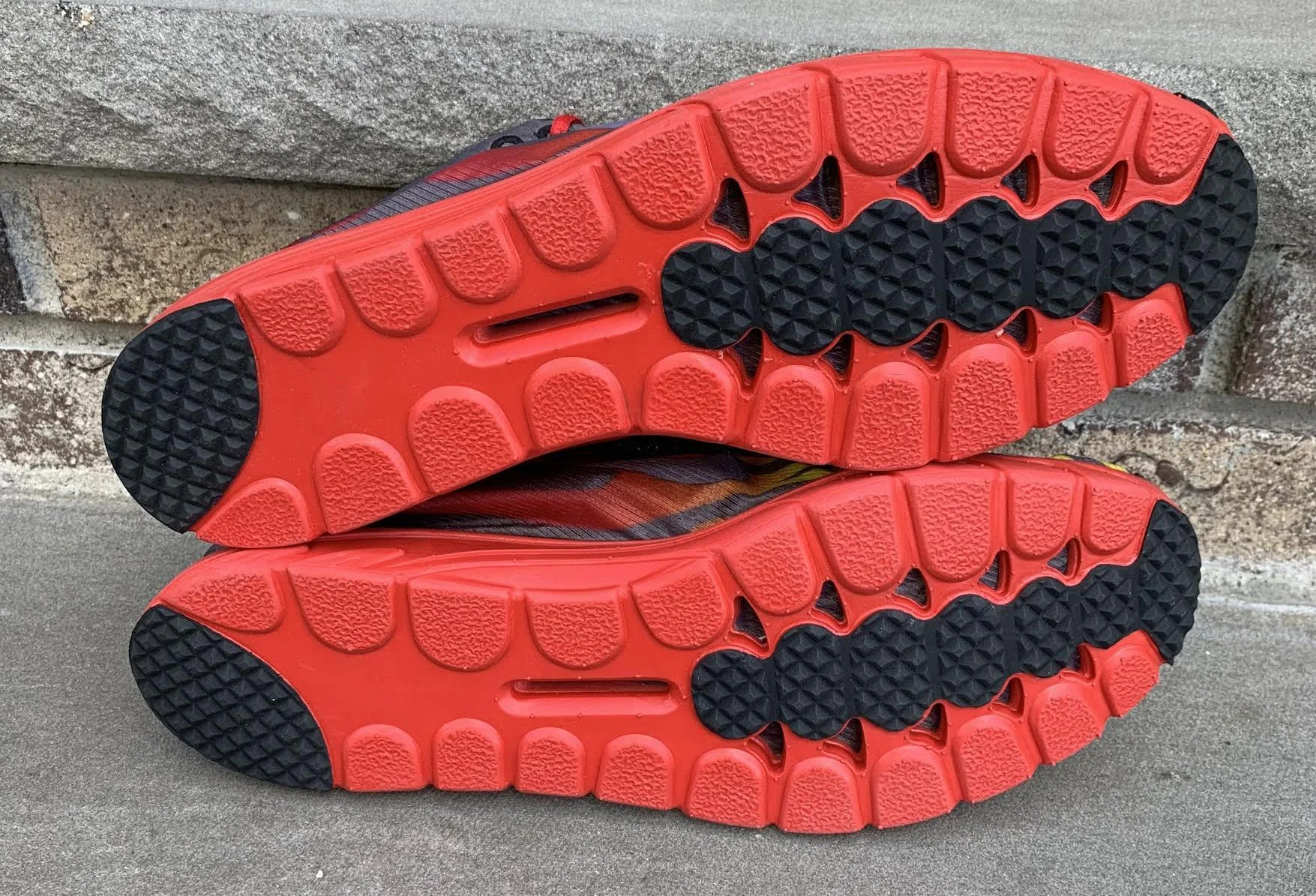 3 bottom of mayfly .jpg