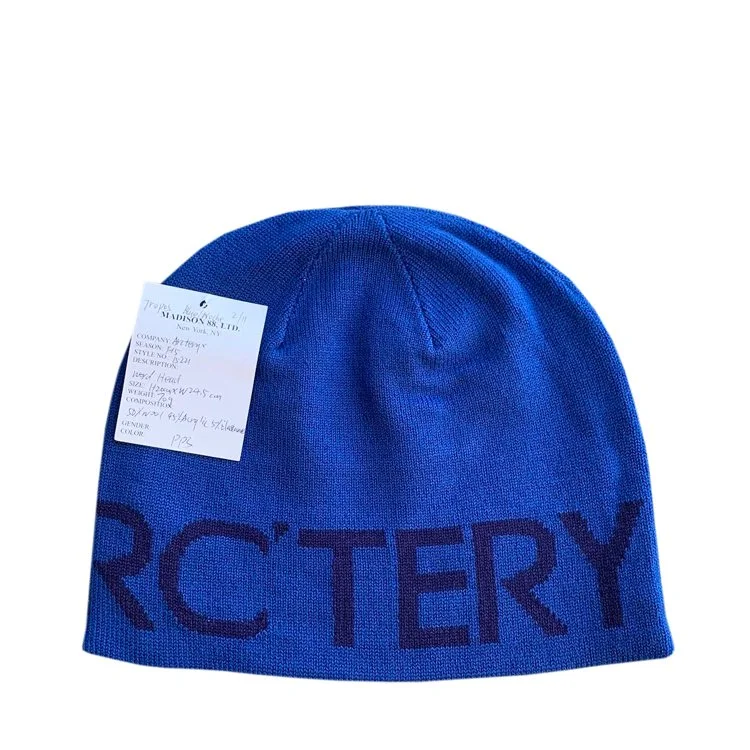 arcteryx beanie .jpg