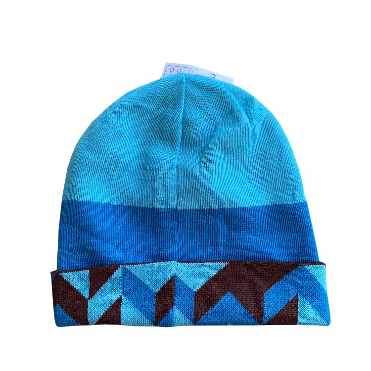 back of arc beanie .jpg