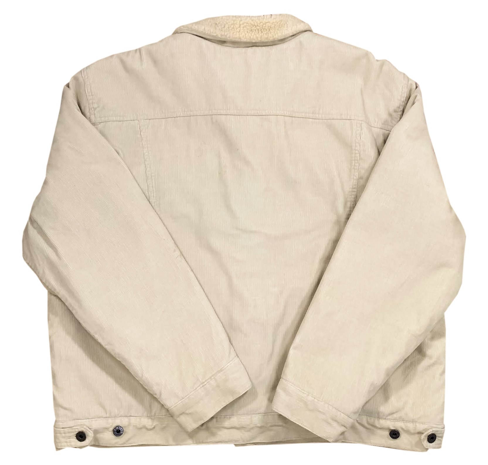 Back of LL bean jacket .jpg