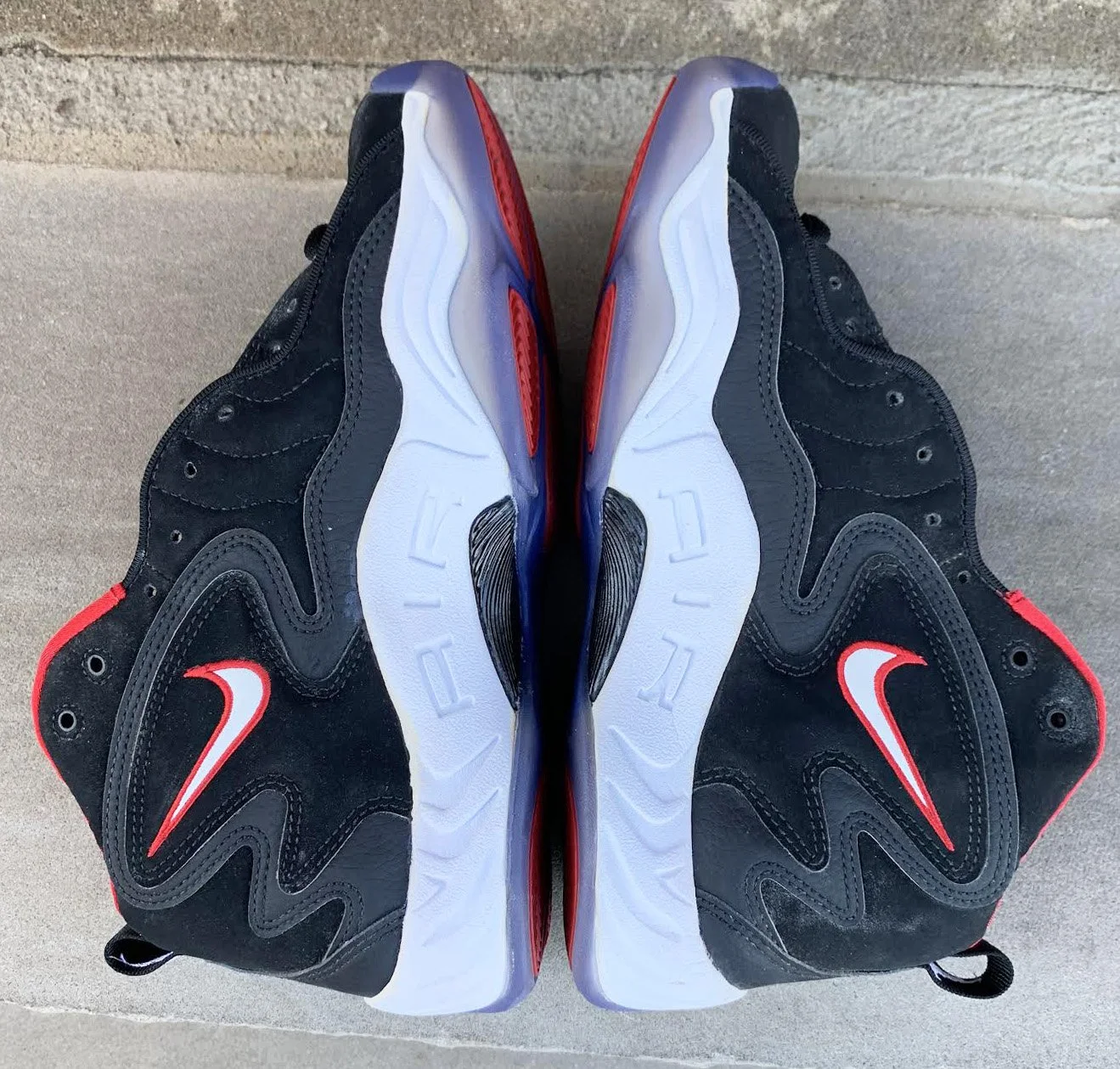 pair of winged flight .jpg