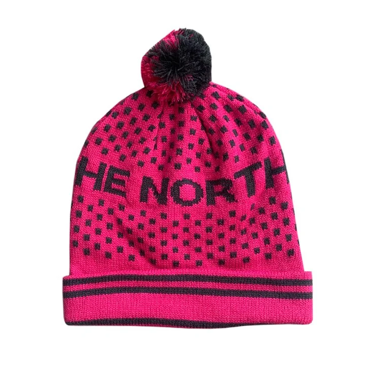 TNF Sample beanie .jpg