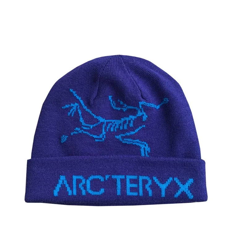 Arc display picture 3