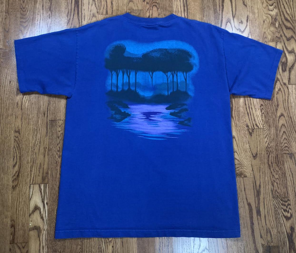 Back of Pocahontas tee.jpg
