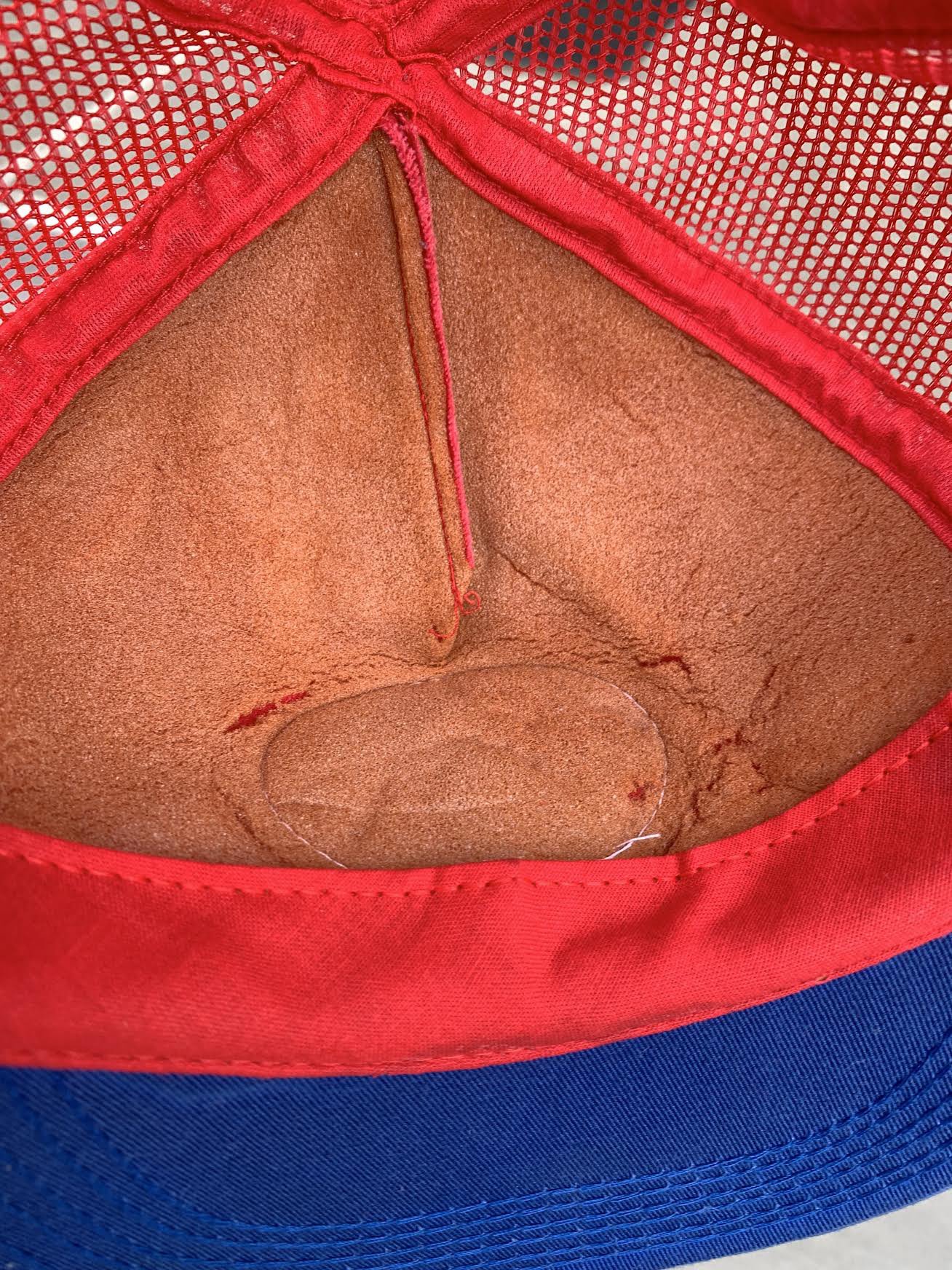 inside of lining .jpg