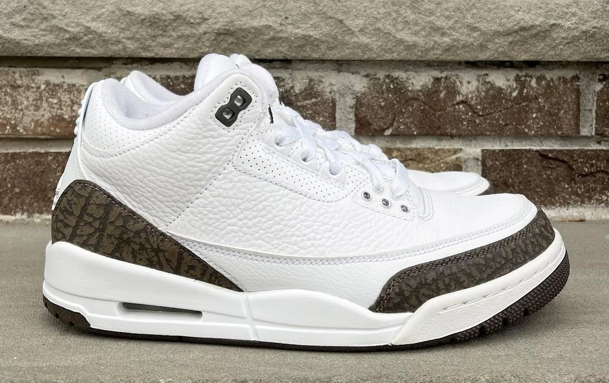 Side of Air Jordan 3 Mocha .jpg
