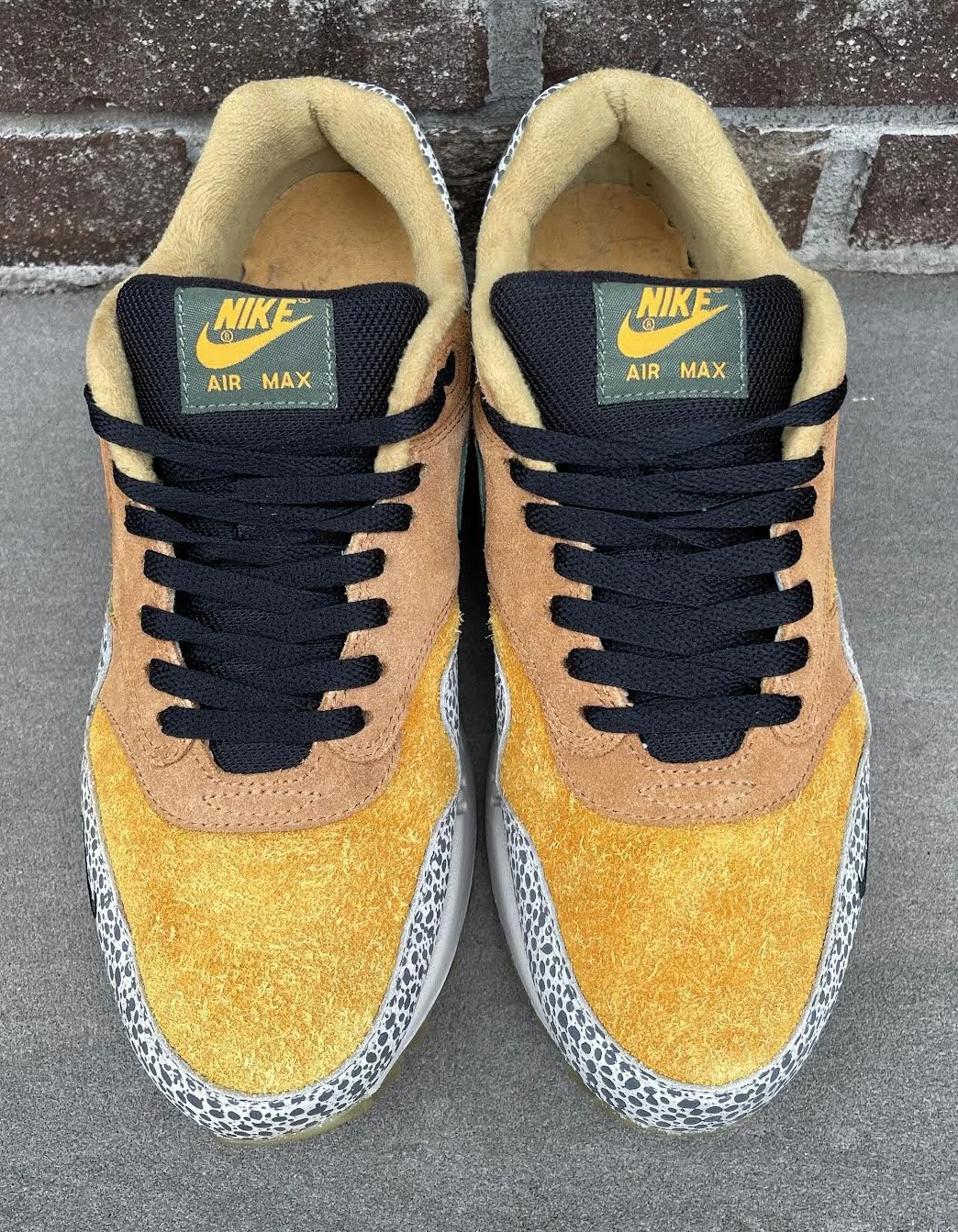 front of AM 1 Premium Safari .jpg