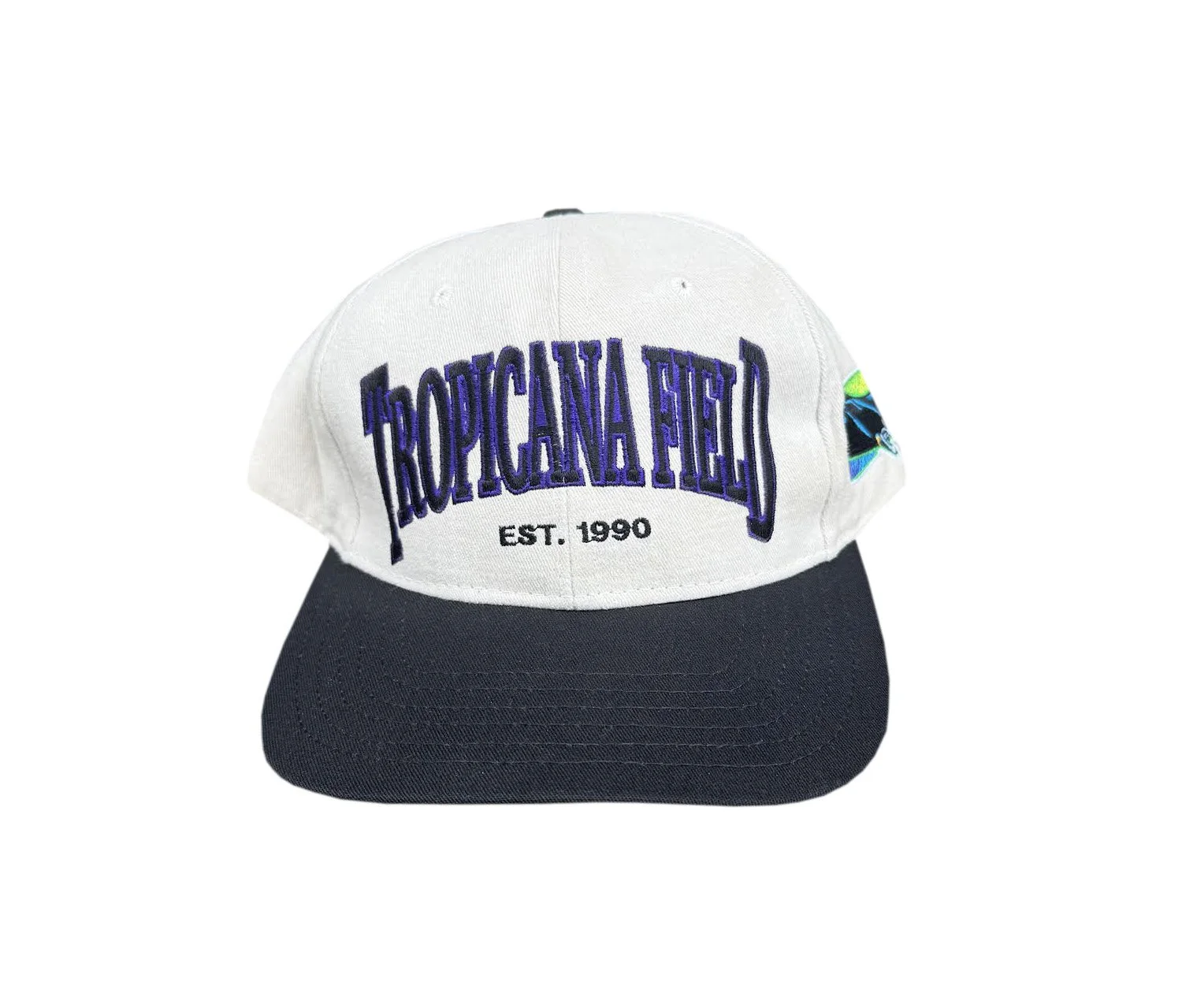 Tropacana field Devil Rays Hat.jpg