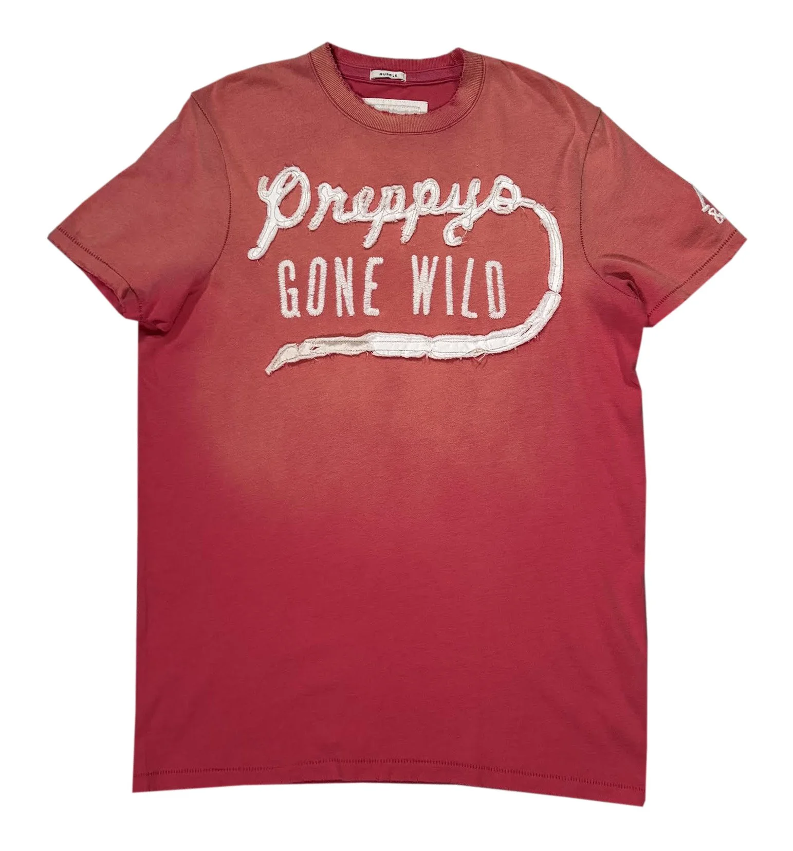Abercrombie & Fitch Preppys Gone Wild T Shirt.jpg