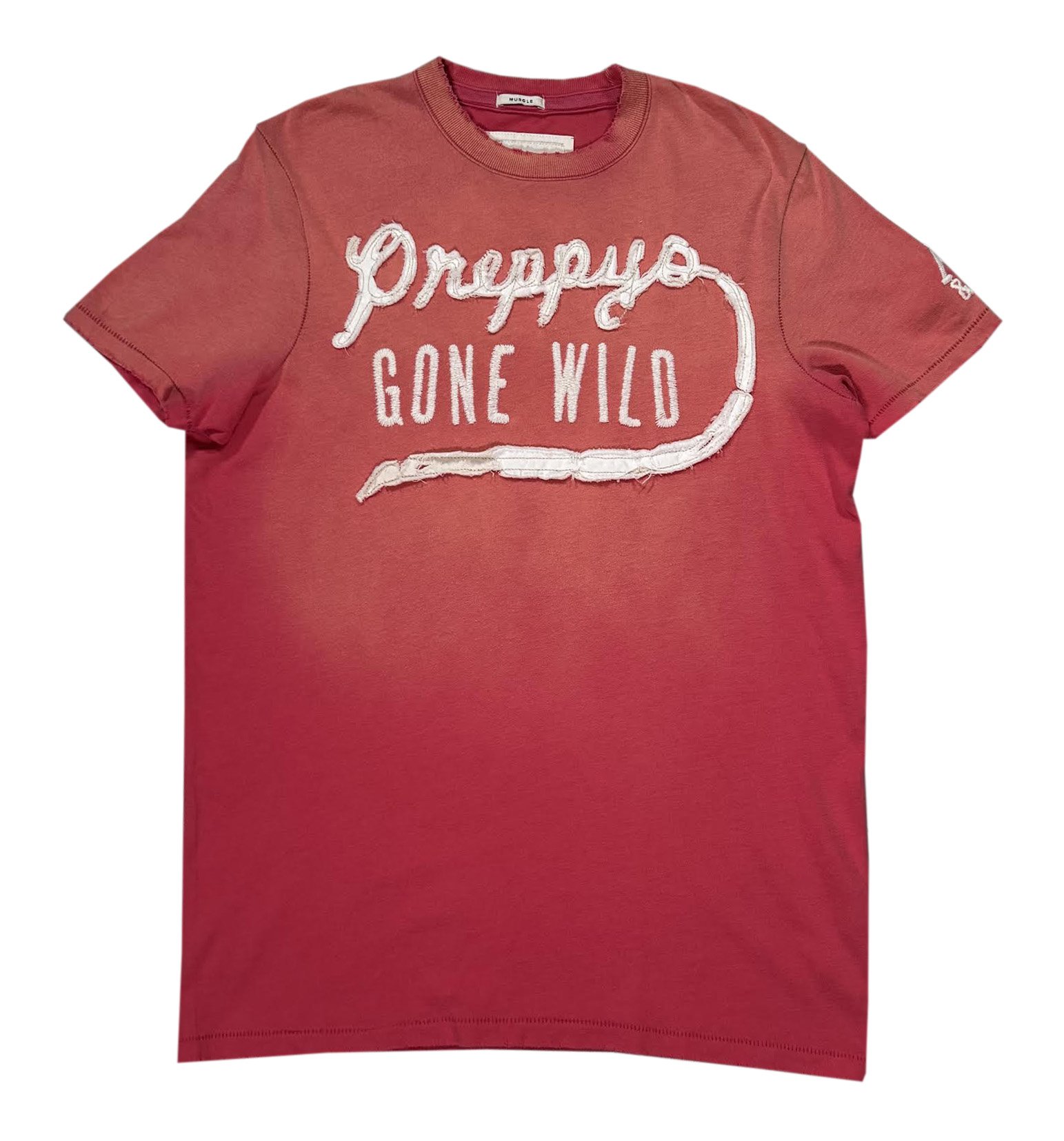 Abercrombie & Fitch Preppys Gone Wild T Shirt.jpg