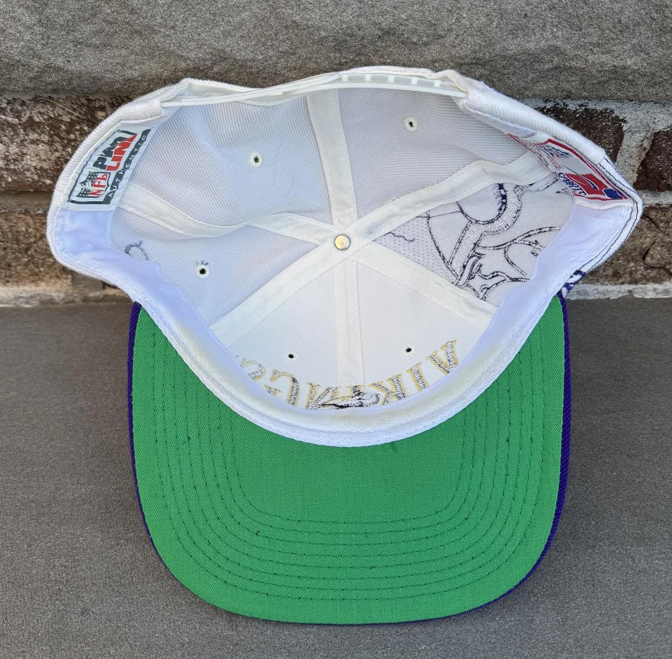 inside of Vikings hat SS.jpg