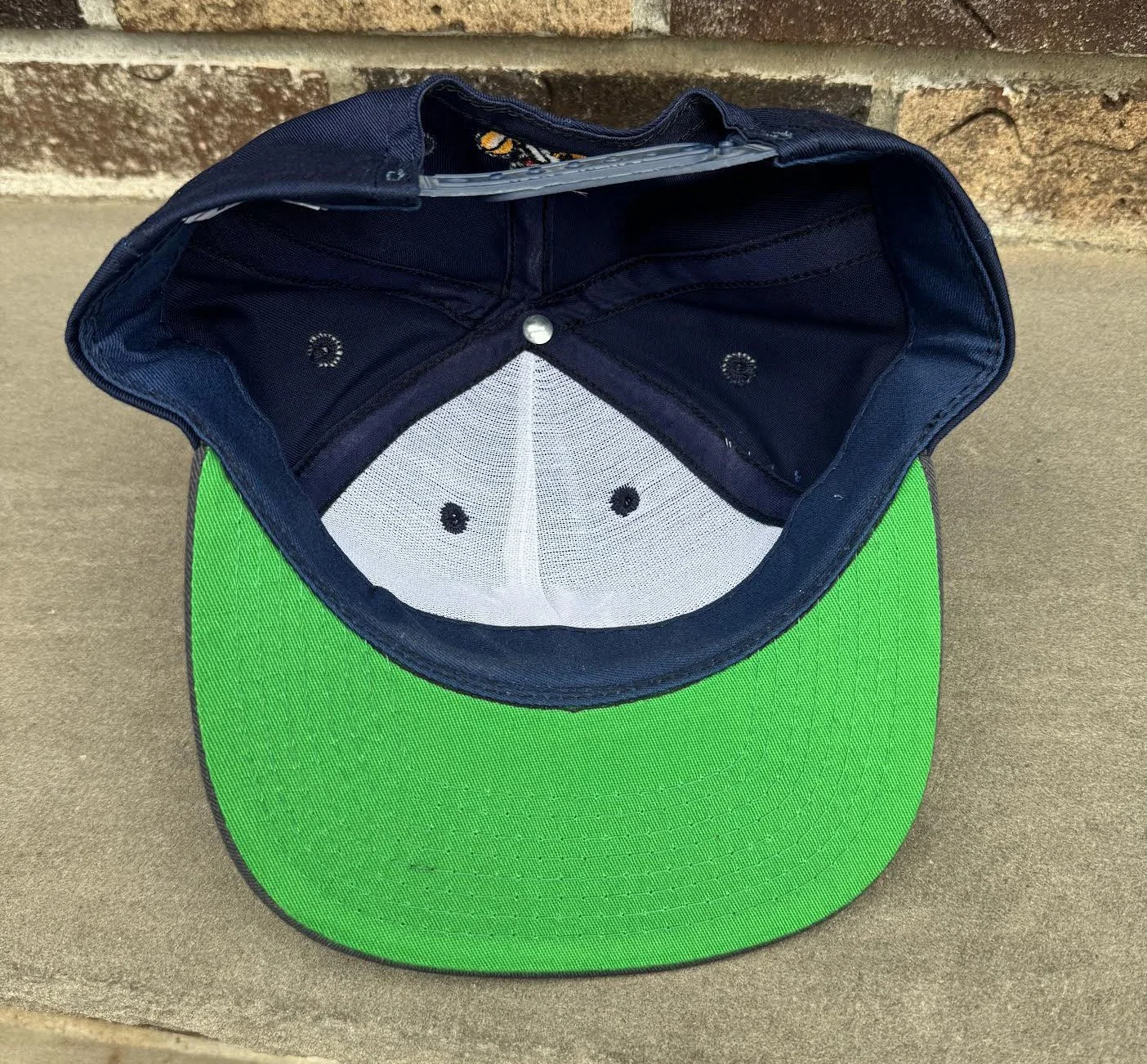 inside of Mickey Mouse cap.jpg