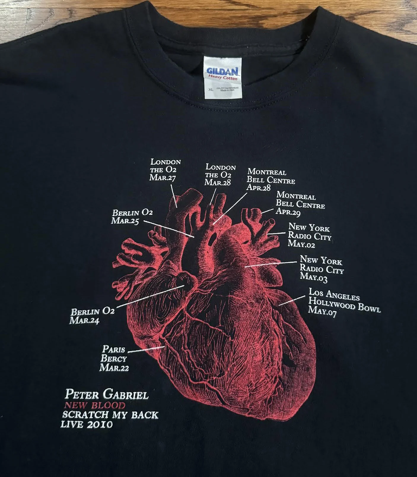 2010 Peter Gabriel Tour Shirt.jpg