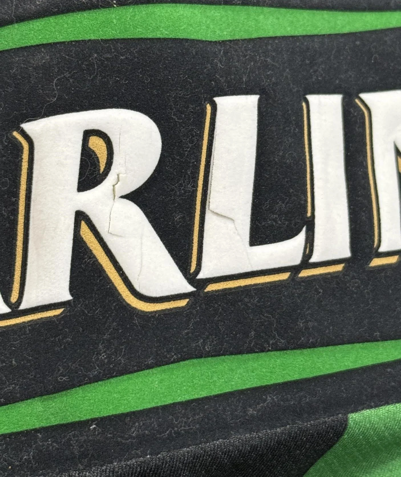 Cracking in logo.jpg