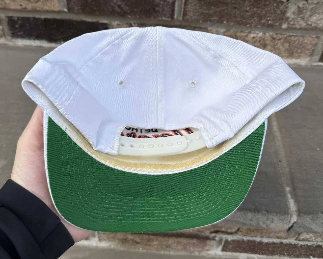 inside Tigers cap .jpg