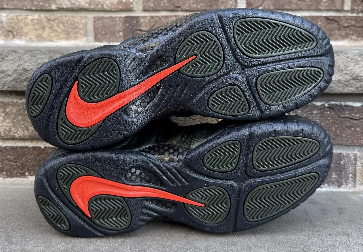 bottom of Sequoia .jpg