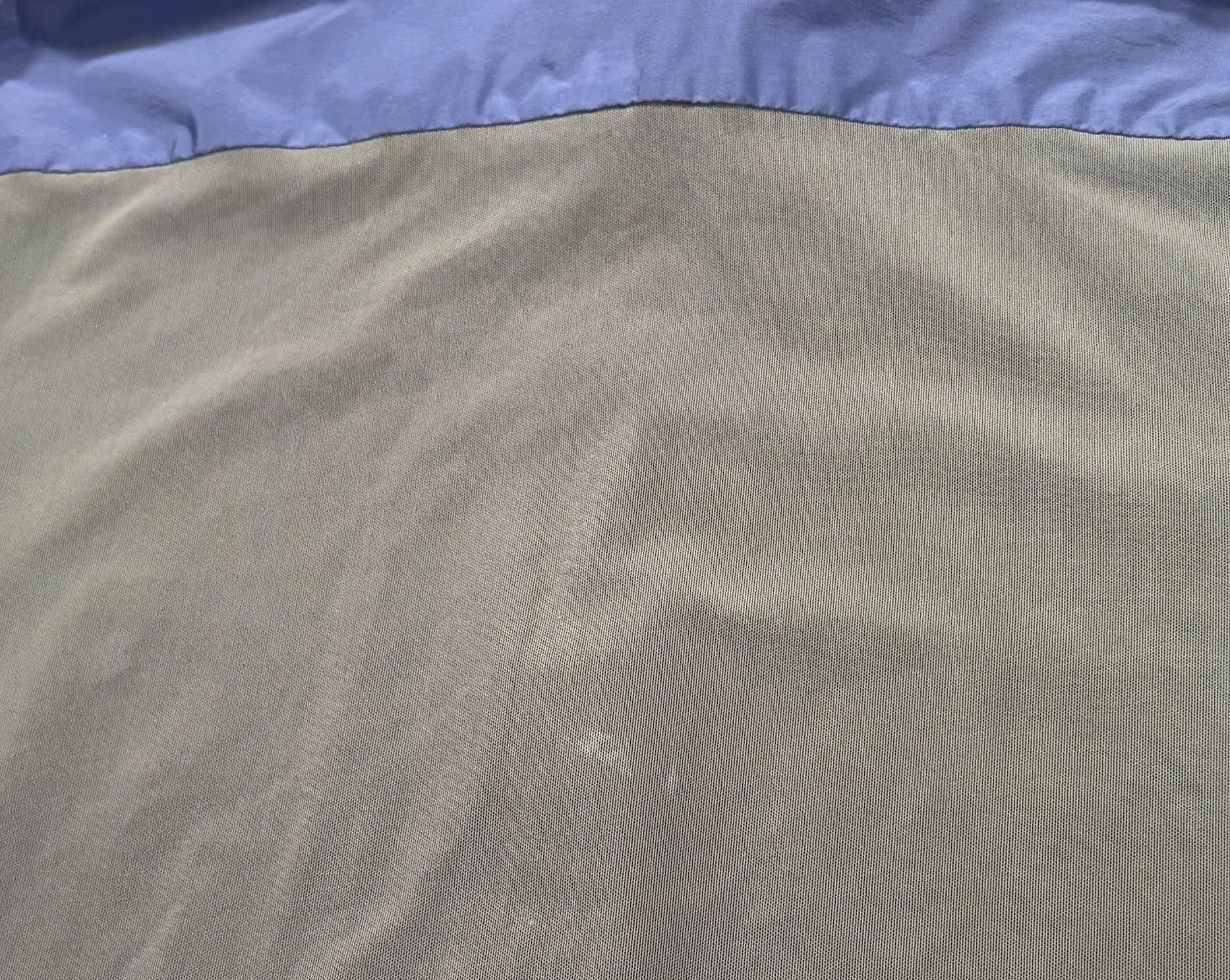 mark on back .jpg
