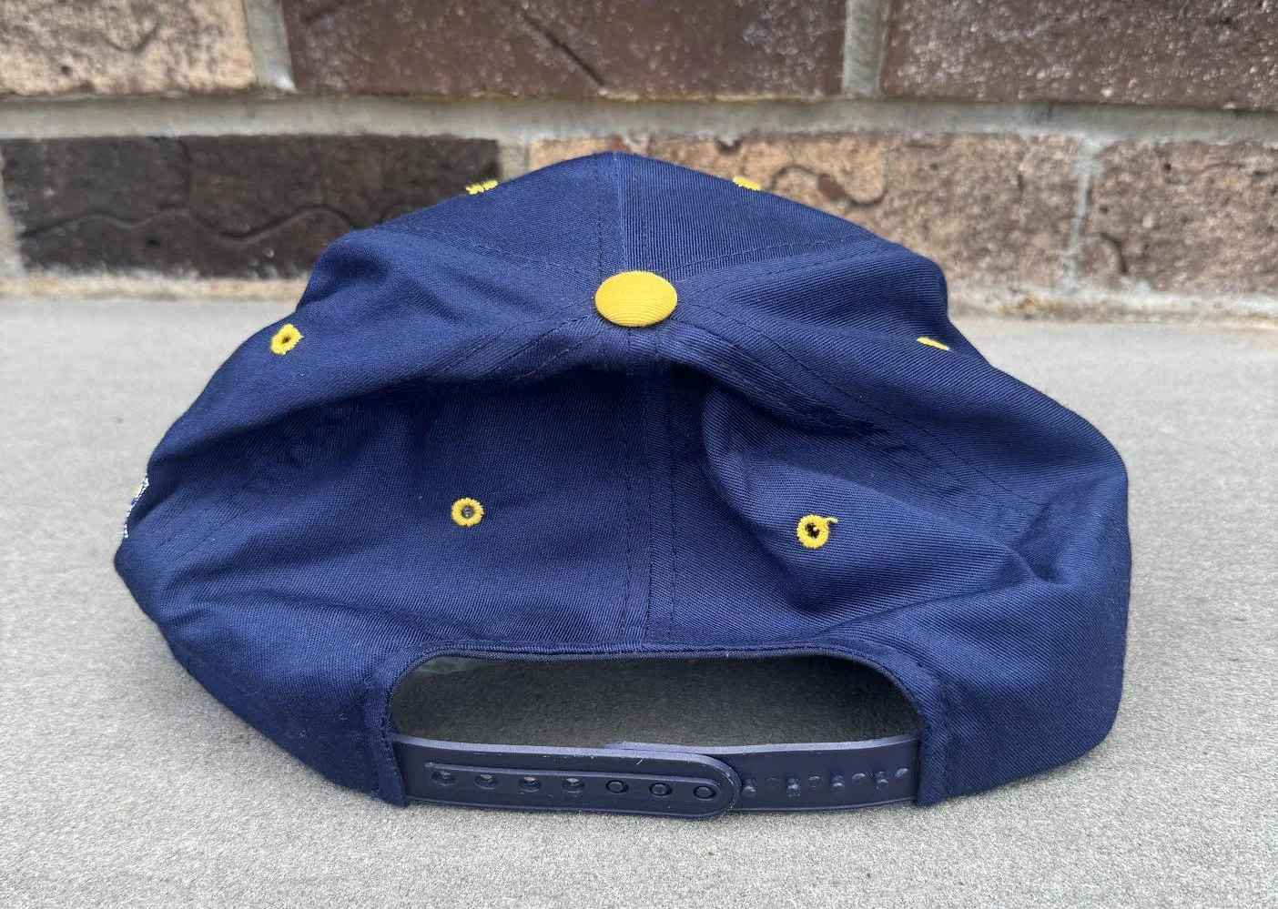 back of Michigan Snapbck.jpg