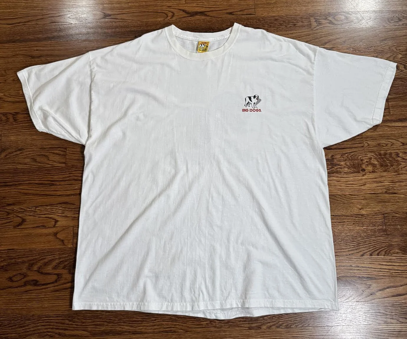 front of Big Dogs Balls tee.jpg