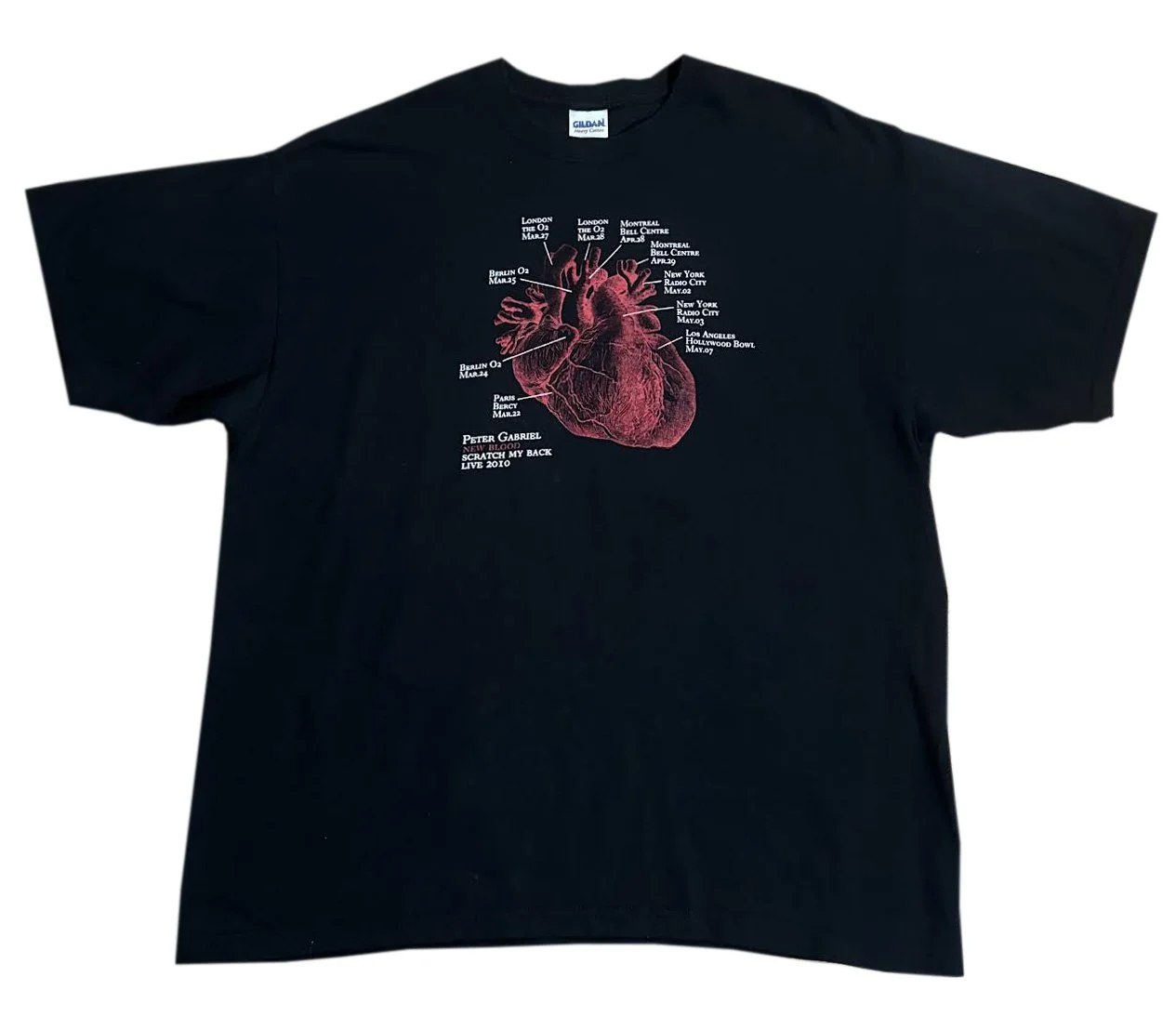 Peter Gabriel 2010 Tee.jpg
