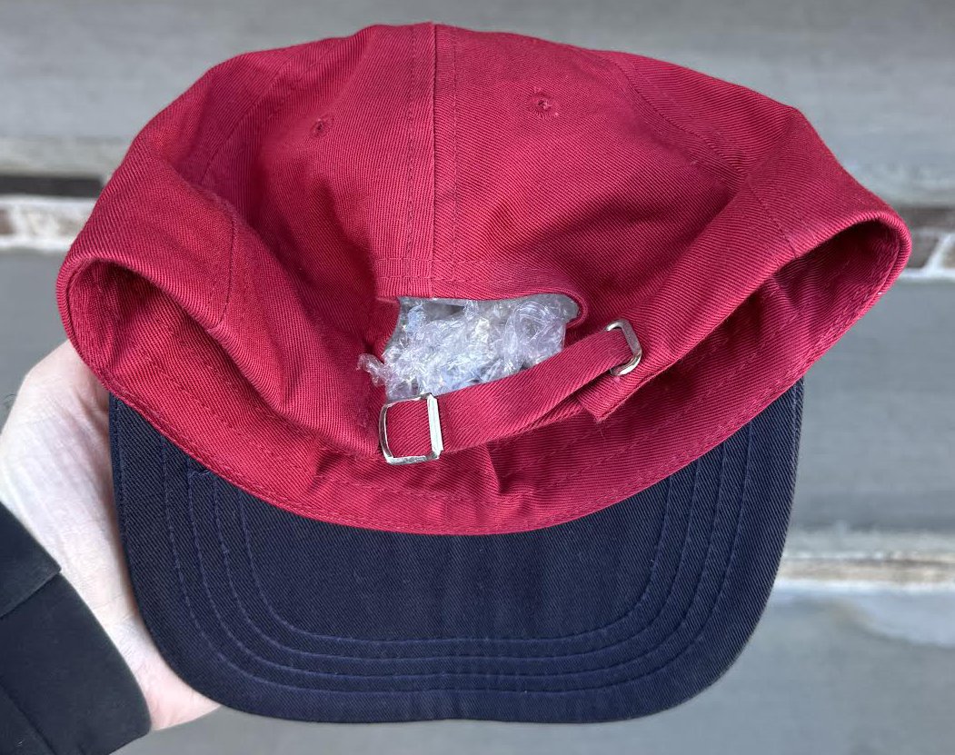 Bck of Polo Strapbck.jpg