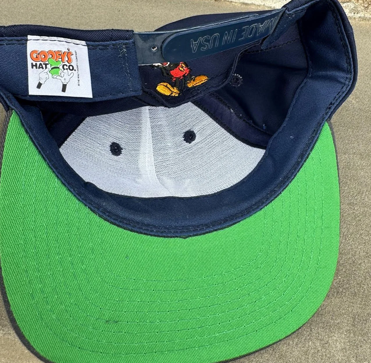 Goofy hat co tag.jpg