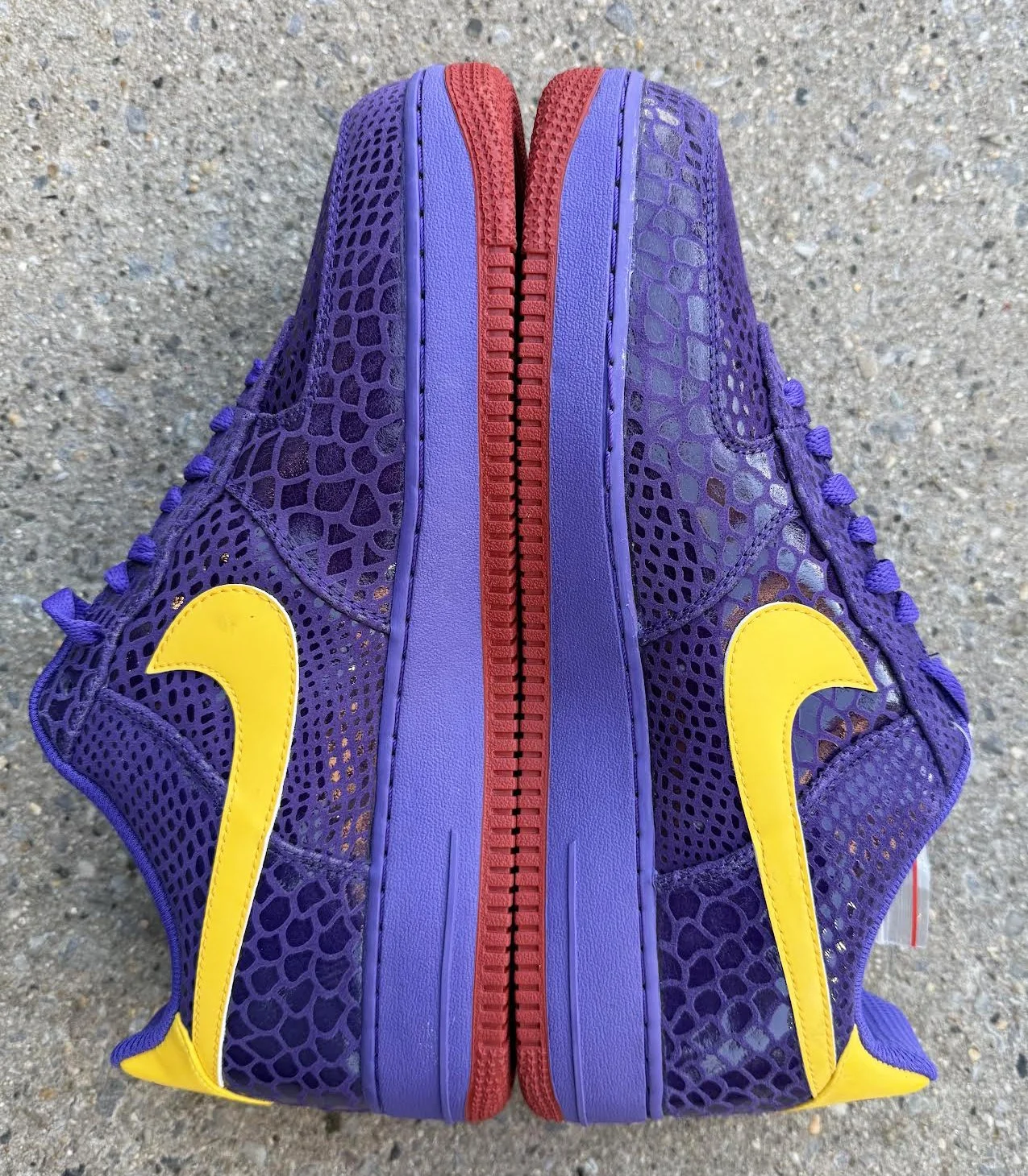 inside of Lakers Af1 .jpg