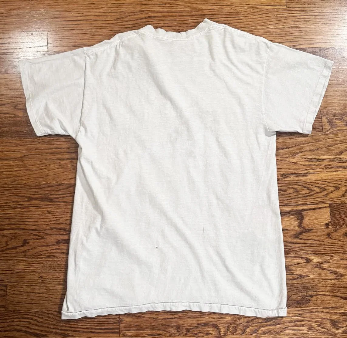 back of T shirt .jpg