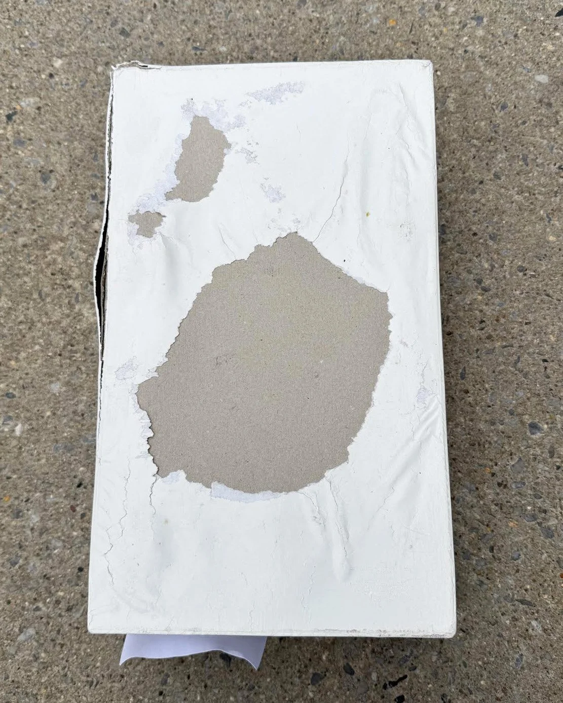 bottom of Margiela box.jpg