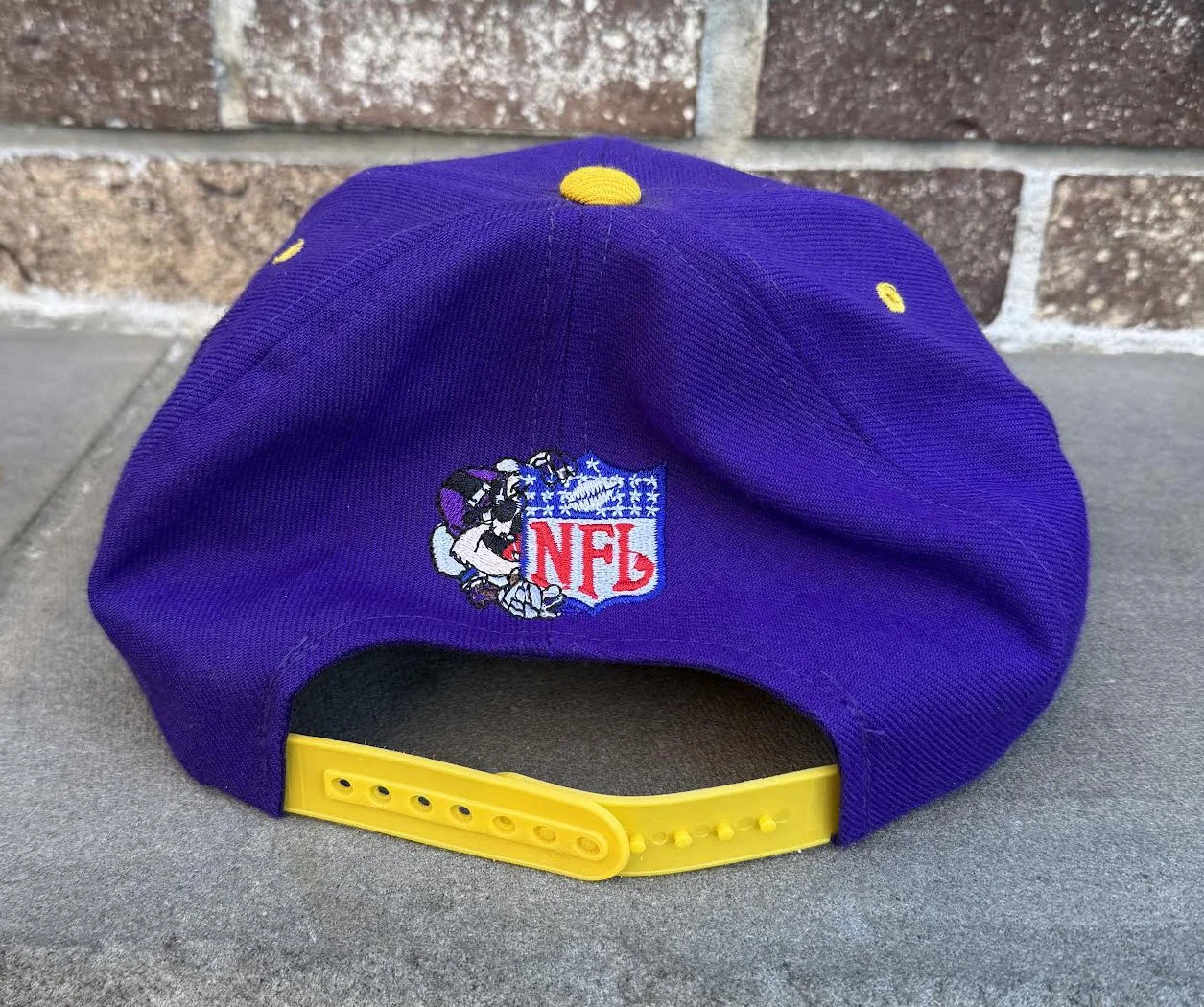 back of Vikings of snapback.jpg